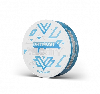 Жевательный табак DryMost SLIM "Velocity / Свежая мята"